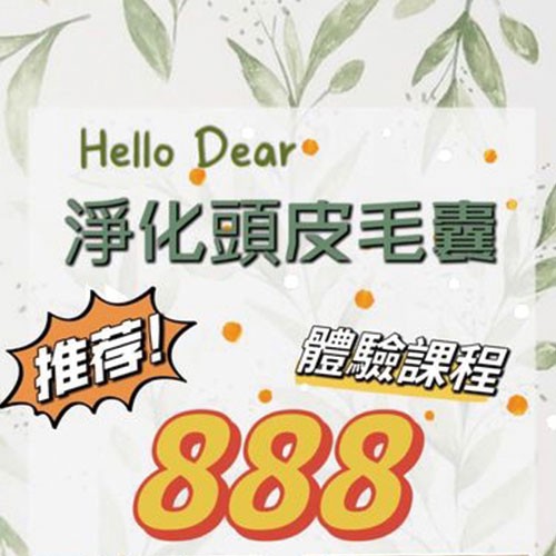 淨化頭皮毛囊